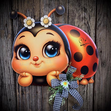 Load image into Gallery viewer, Ladybug decoration, Ladybug door hanger, wreath for front door, Porch or patio sign, cute Ladybug, Summer decor housewarming gift for her