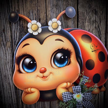 Load image into Gallery viewer, Ladybug decoration, Ladybug door hanger, wreath for front door, Porch or patio sign, cute Ladybug, Summer decor housewarming gift for her