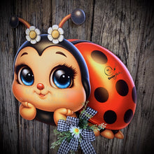Load image into Gallery viewer, Ladybug decoration, Ladybug door hanger, wreath for front door, Porch or patio sign, cute Ladybug, Summer decor housewarming gift for her