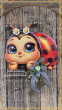 Load and play video in Gallery viewer, Ladybug decoration, Ladybug door hanger, wreath for front door, Porch or patio sign, cute Ladybug, Summer decor housewarming gift for her
